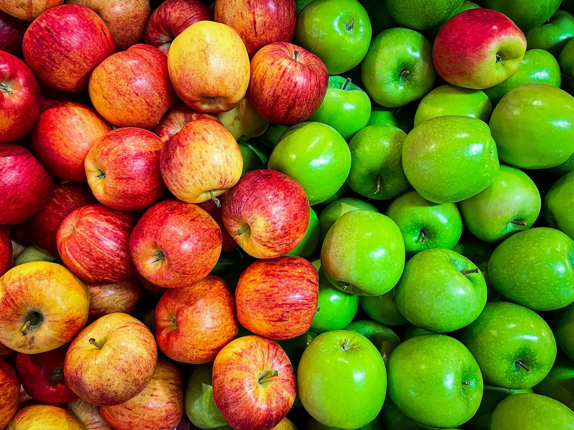 Bins of freshly picked red and green apples