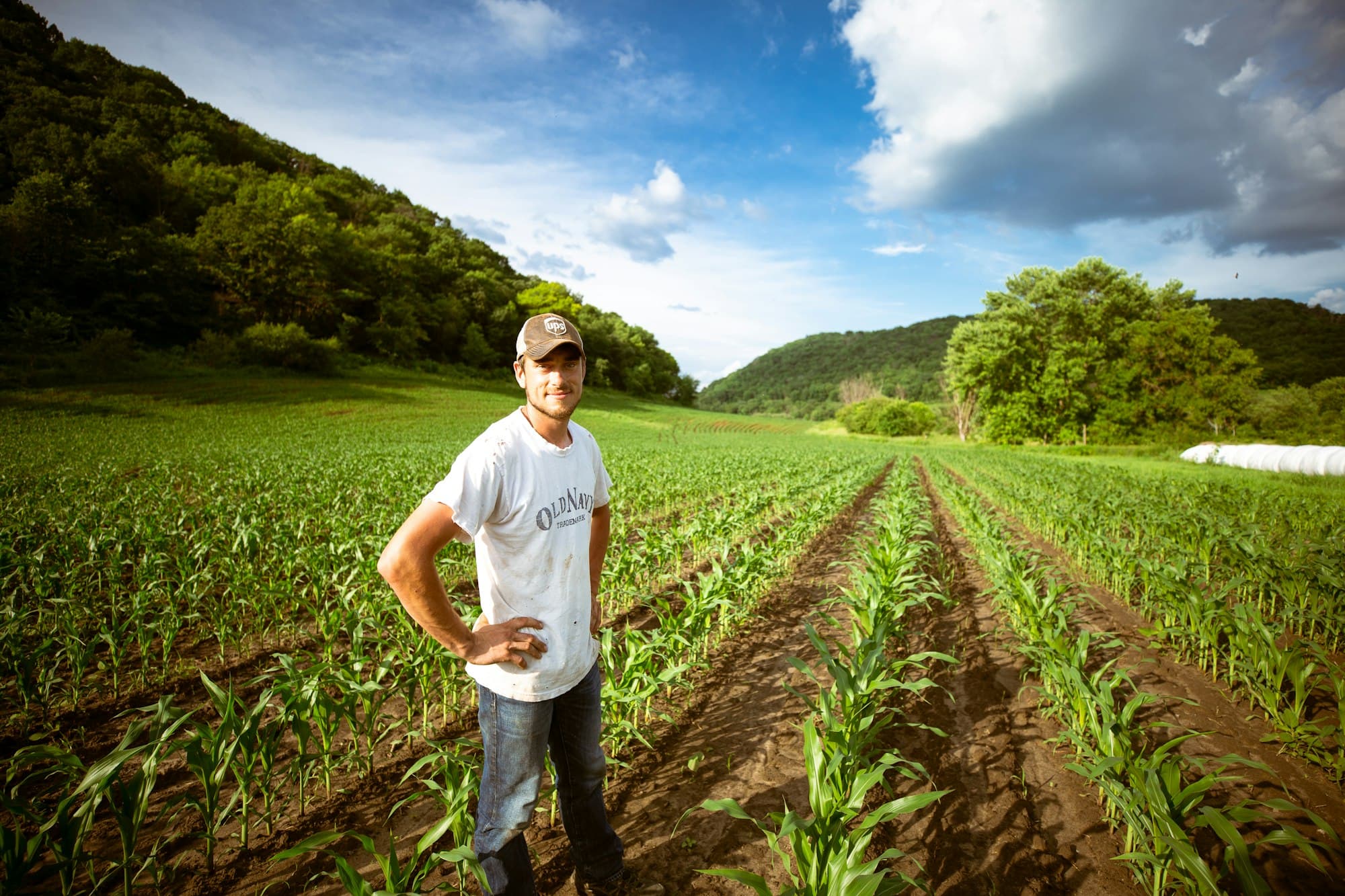 Worker standing between green crop rows with hills behind